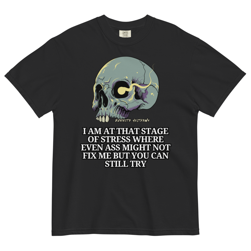 That Stage Of Stress – Cracked Skull Tee Mockup