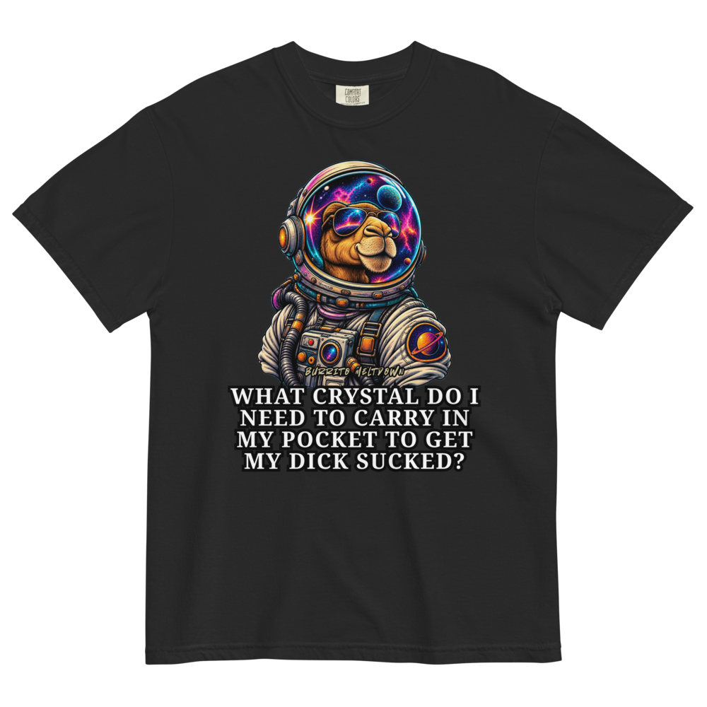 What Crystal Do I Need - Astronaut Camel Tee Mockup