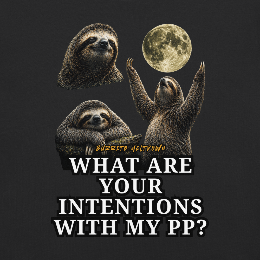 What Are Your Intentions – Sloth Moon Tee Mockup
