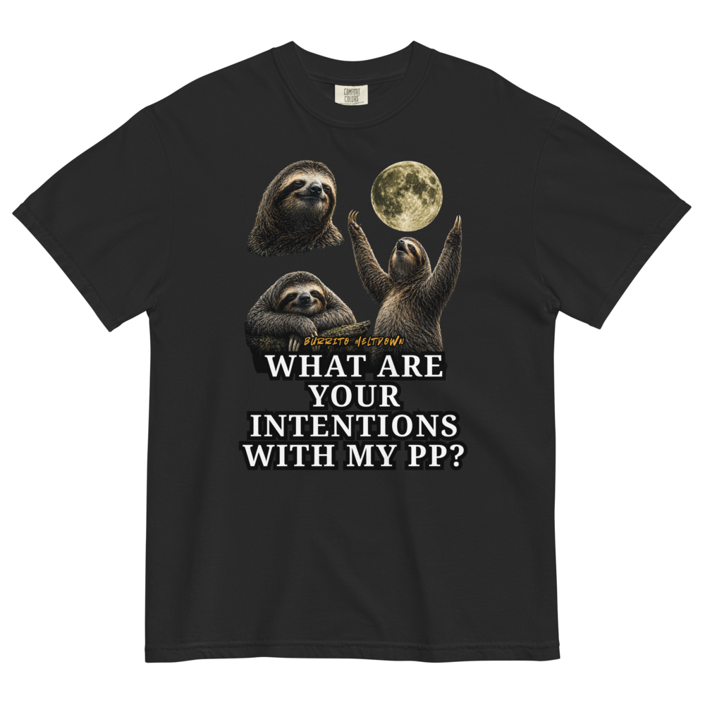 What Are Your Intentions – Sloth Moon Tee Mockup