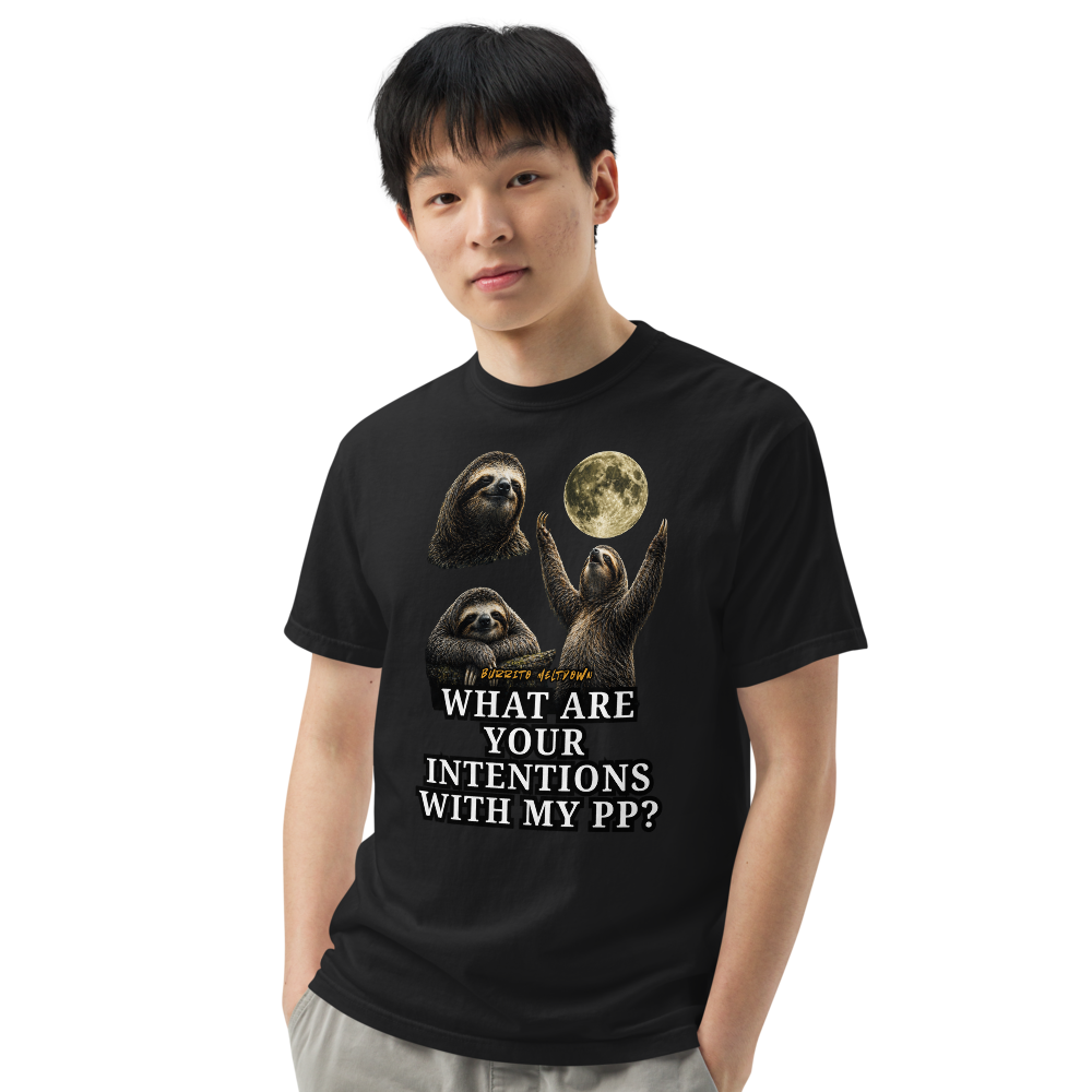 What Are Your Intentions – Sloth Moon Tee Mockup