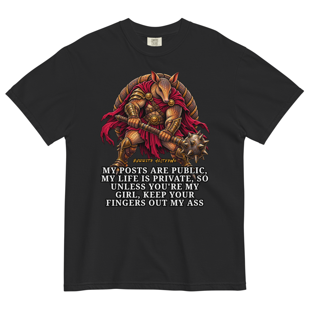 My Posts Are Public My Life Is Private – Armadillo Knight Warrior Tee Mockup