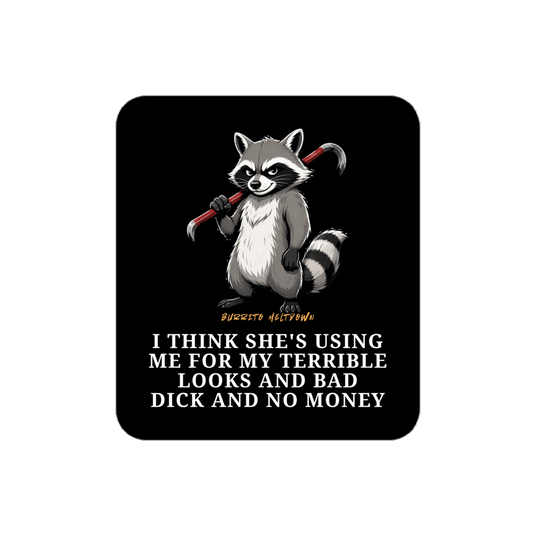 She's Using Me – Raccoon Sticker Mockup