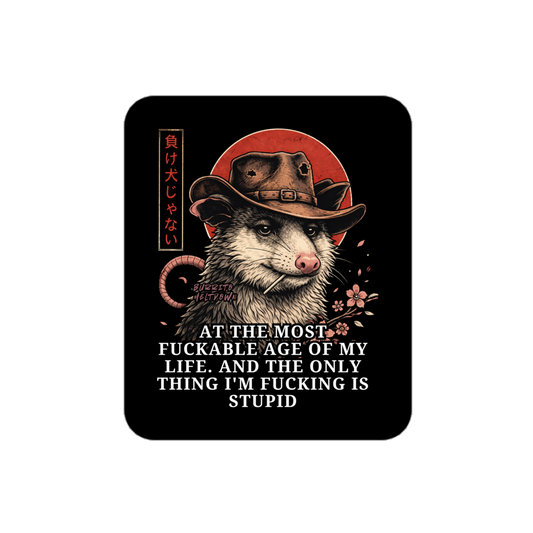 The Only Thing I'm Doing Is Stupid – Cowboy Possum Sticker Mockup